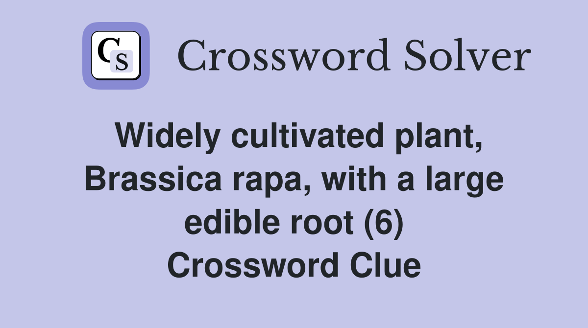 Widely cultivated plant, Brassica rapa, with a large edible root (6